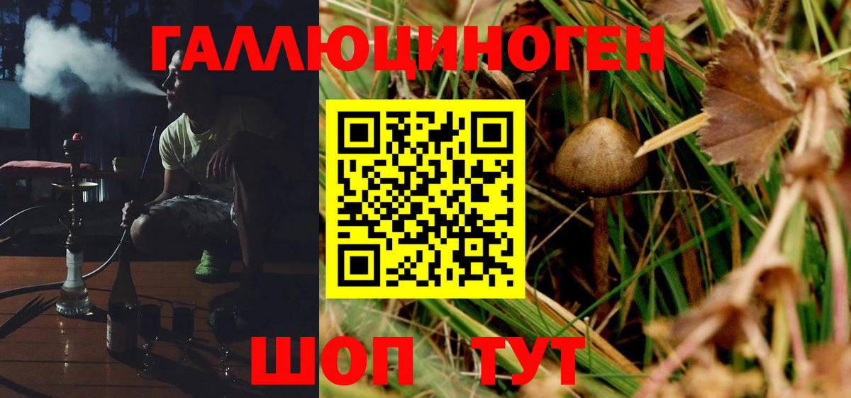 Галлюциногенные грибы Psilocybe  Вход с VPN  Дзержинск 